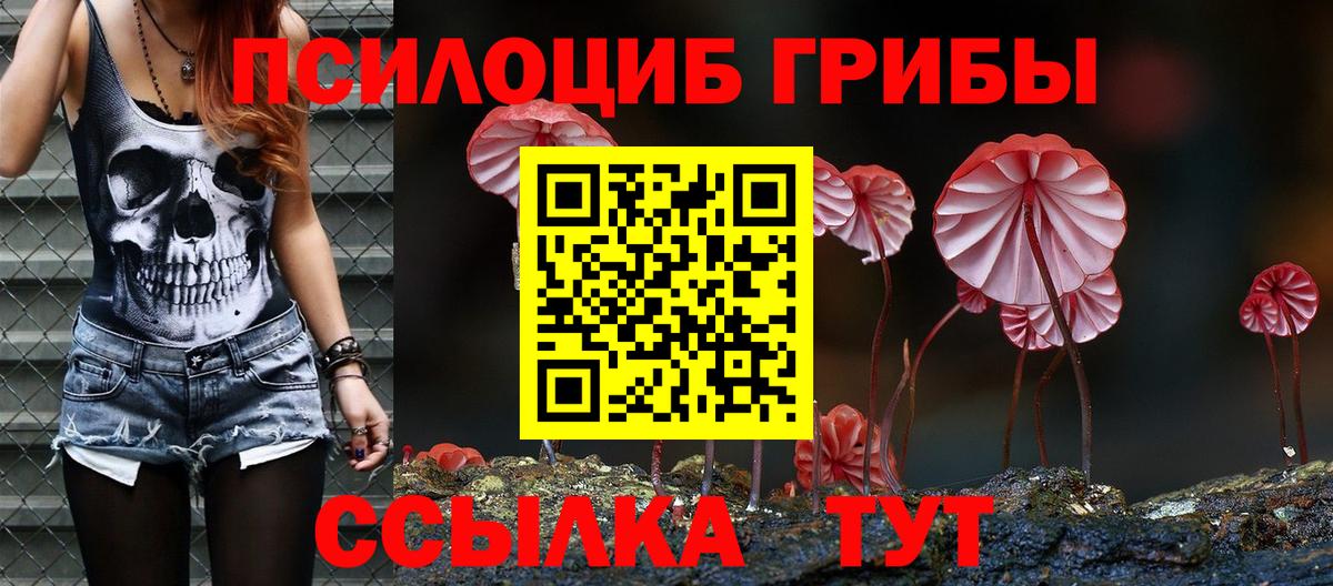 Севастополь  Псилоцибиновые грибы мицелий  Вход с VPN 